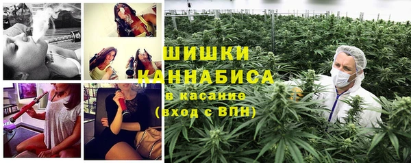 кокс Туринск