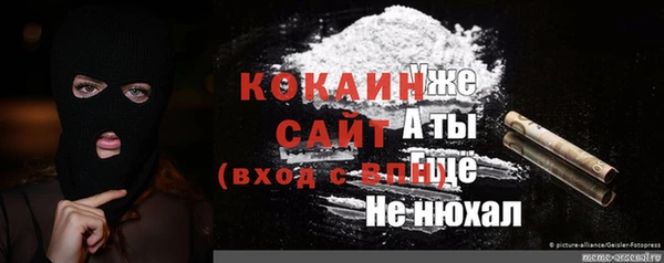 прущие грибы Тихорецк