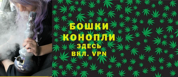 крисы Тихвин