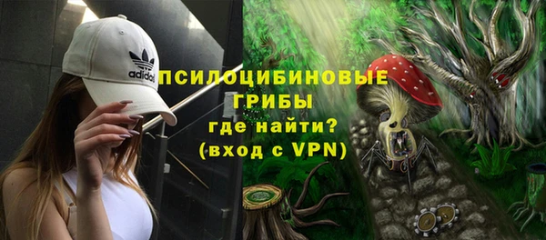 кокс Туринск