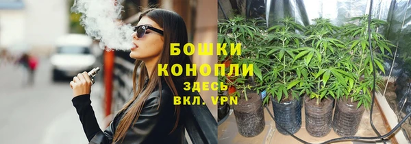 прущие грибы Тихорецк