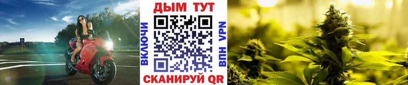 Купить где  Солнечногорск  Бошки Шишки планчик 